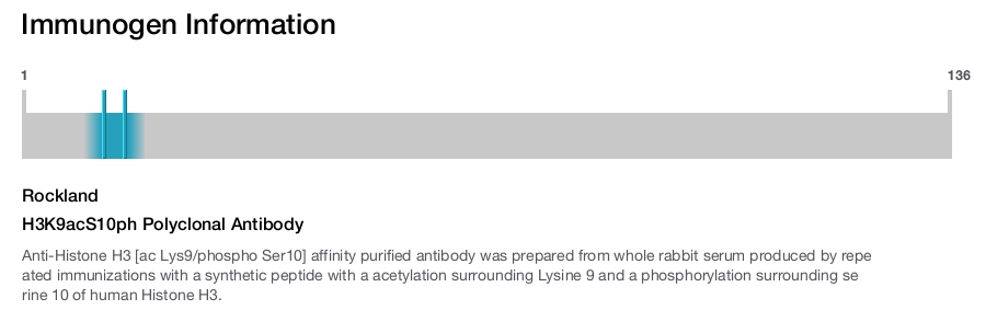 H3K9acS10ph Polyclonal Antibody