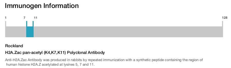 H2A.Zac pan-acetyl (K4,K7,K11) Polyclonal Antibody