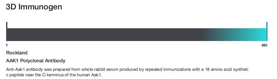 AAK1 Polyclonal Antibody