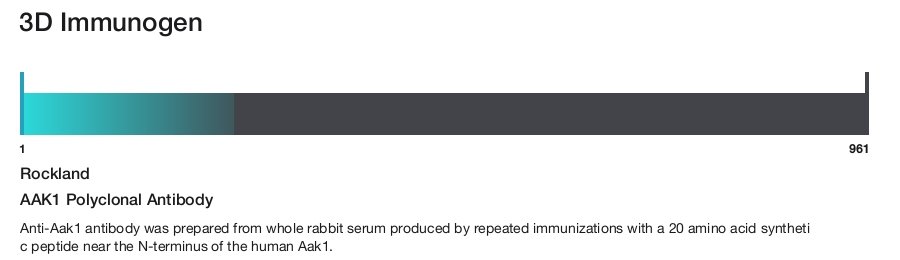 AAK1 Polyclonal Antibody