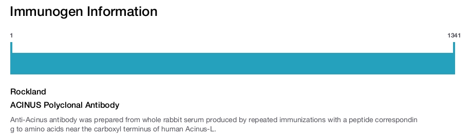 ACINUS Polyclonal Antibody