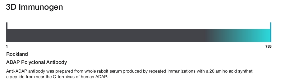 ADAP Polyclonal Antibody
