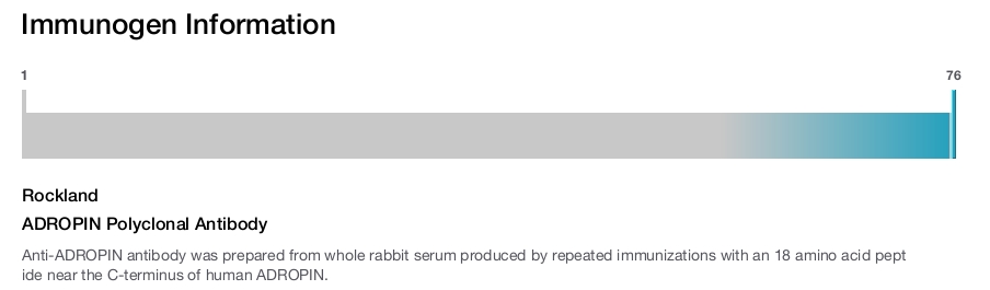 ADROPIN Polyclonal Antibody