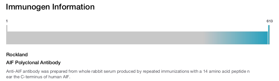 AIF Polyclonal Antibody