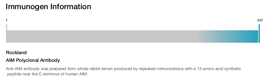 AIM Polyclonal Antibody