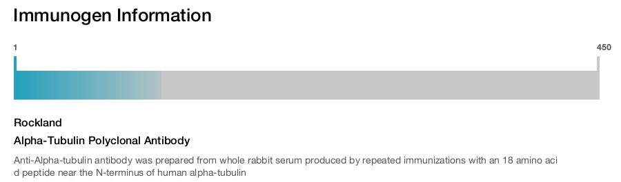 Alpha-Tubulin Polyclonal Antibody