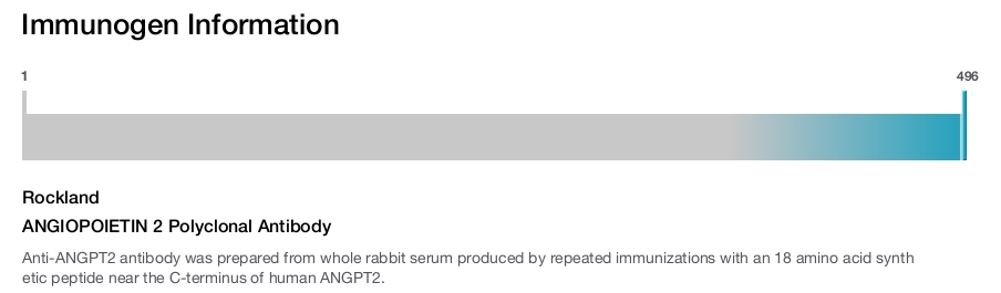 ANGIOPOIETIN 2 Polyclonal Antibody