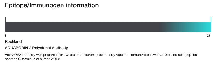 AQUAPORIN 2 Polyclonal Antibody