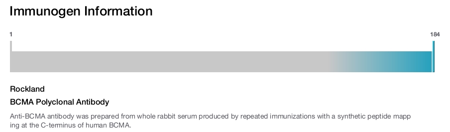 BCMA Polyclonal Antibody