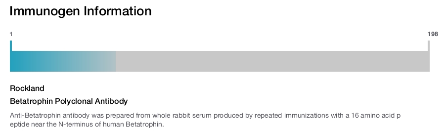 Betatrophin Polyclonal Antibody