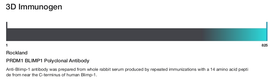 PRDM1 BLIMP1 Polyclonal Antibody