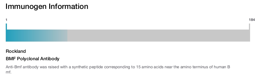 BMF Polyclonal Antibody