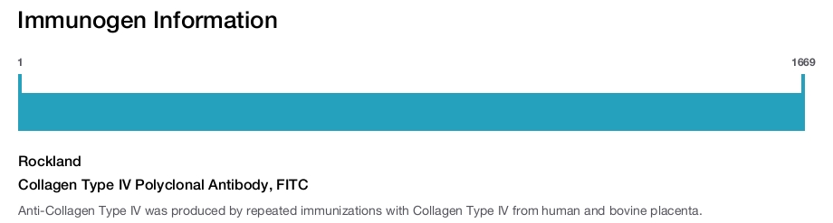 Collagen Type IV Polyclonal Antibody, FITC