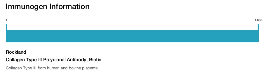 Collagen Type III Polyclonal Antibody, Biotin
