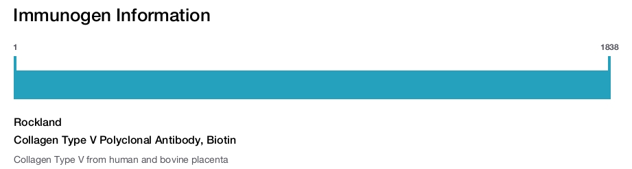Collagen Type V Polyclonal Antibody, Biotin