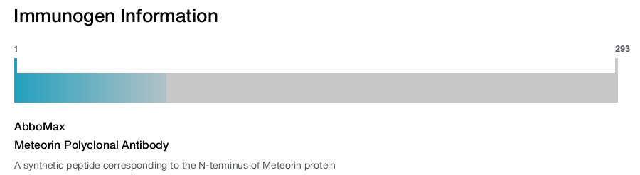 Meteorin Polyclonal Antibody