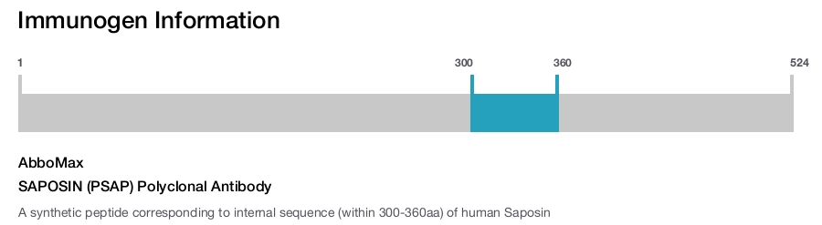 SAPOSIN (PSAP) Polyclonal Antibody