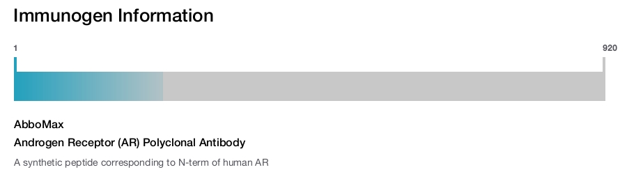 Androgen Receptor (AR) Polyclonal Antibody
