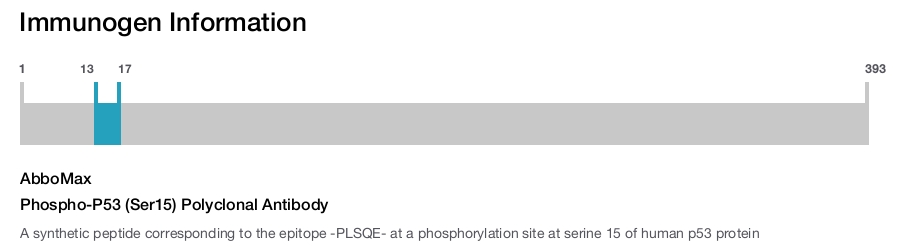 Phospho-P53 (Ser15) Polyclonal Antibody