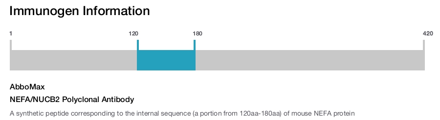 NEFA/NUCB2 Polyclonal Antibody