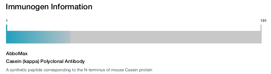 Casein (kappa) Polyclonal Antibody