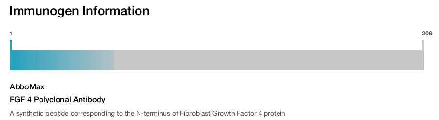 FGF 4 Polyclonal Antibody
