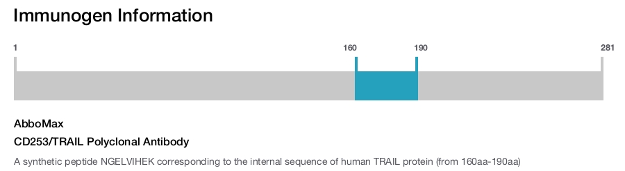 CD253/TRAIL Polyclonal Antibody