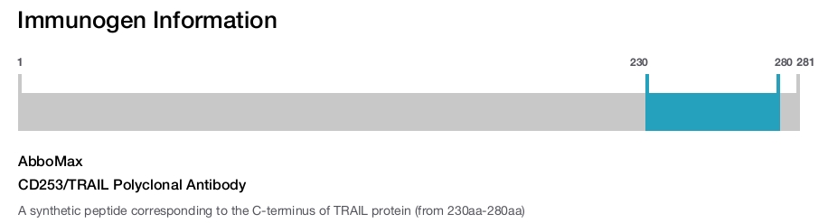 CD253/TRAIL Polyclonal Antibody