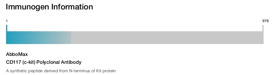 CD117 (c-kit) Polyclonal Antibody
