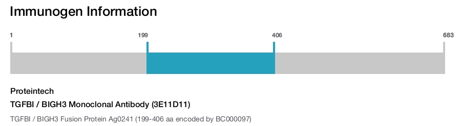 TGFBI / BIGH3 Monoclonal Antibody (3E11D11)