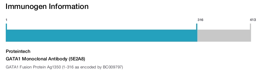 GATA1 Monoclonal Antibody (5E2A8)