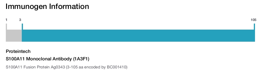 S100A11 Monoclonal Antibody (1A3F1)