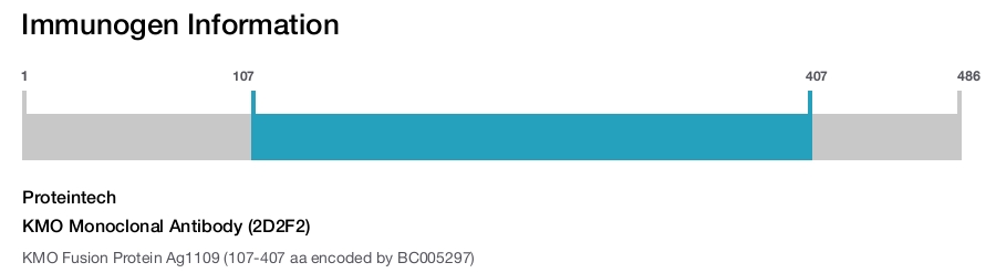 KMO Monoclonal Antibody (2D2F2)