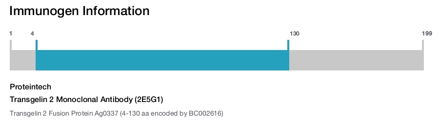 Transgelin 2 Monoclonal Antibody (2E5G1)