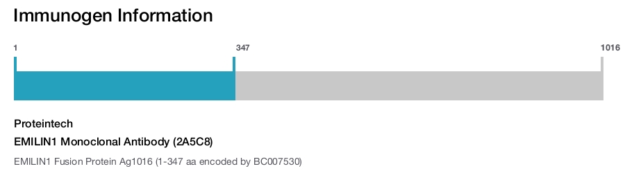 EMILIN1 Monoclonal Antibody (2A5C8)