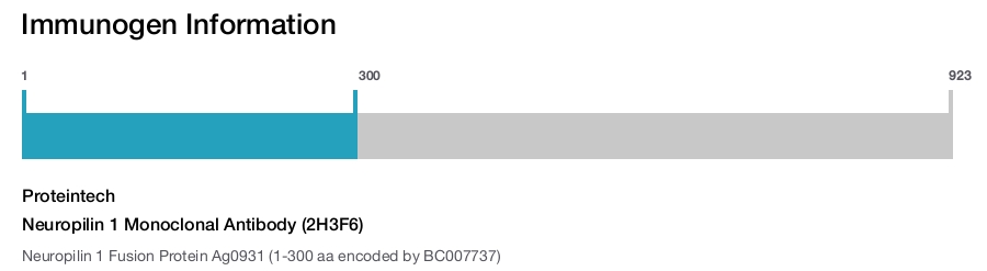 Neuropilin 1 Monoclonal Antibody (2H3F6)