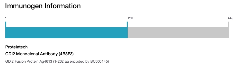 GDI2 Monoclonal Antibody (4B8F3)