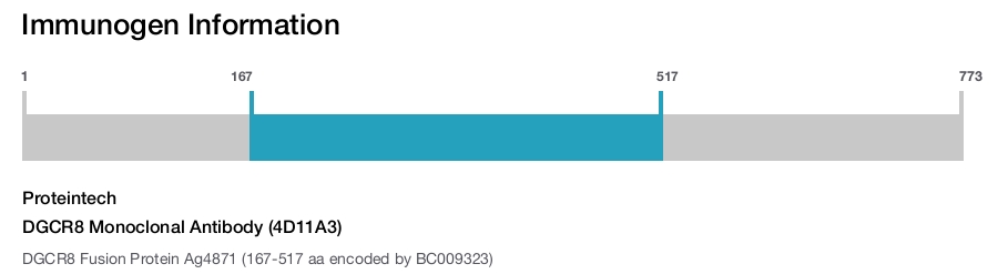 DGCR8 Monoclonal Antibody (4D11A3)