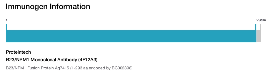 B23/NPM1 Monoclonal Antibody (4F12A3)