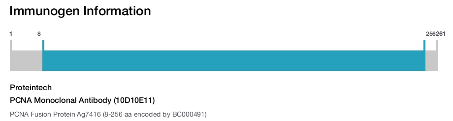 PCNA Monoclonal Antibody (10D10E11)