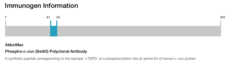 Phospho-c-Jun (Ser63) Polyclonal Antibody