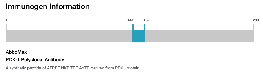 PDX-1 Polyclonal Antibody
