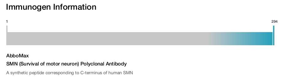 SMN (Survival of motor neuron) Polyclonal Antibody