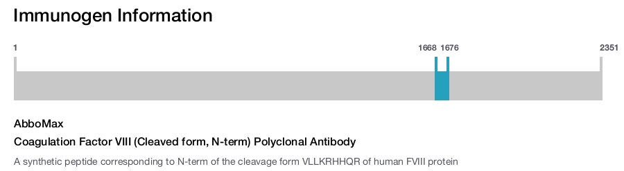 Coagulation Factor VIII (Cleaved form, N-term) Polyclonal Antibody