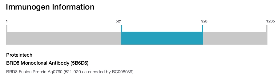 BRD8 Monoclonal Antibody (5B6D6)