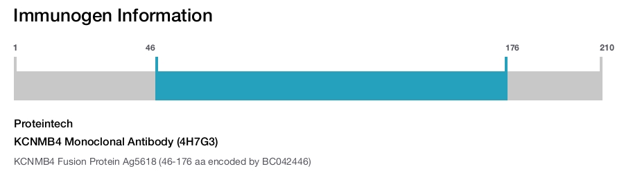 KCNMB4 Monoclonal Antibody (4H7G3)