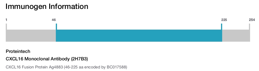 CXCL16 Monoclonal Antibody (2H7B3)