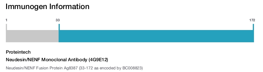 Neudesin/NENF Monoclonal Antibody (4G9E12)