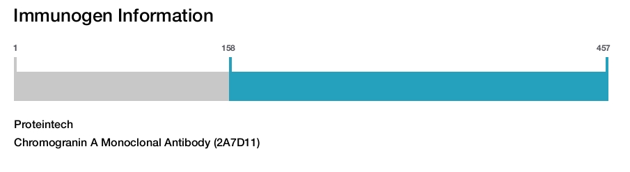 Chromogranin A Monoclonal Antibody (2A7D11)