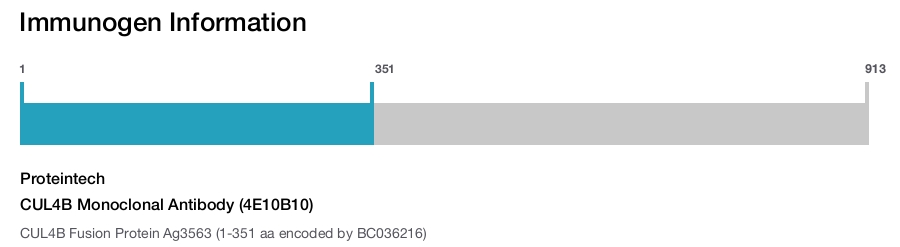 CUL4B Monoclonal Antibody (4E10B10)